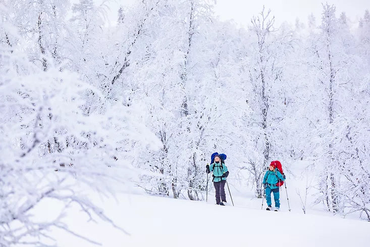 Skinbased Skishoeing Through the Drifts and Powder